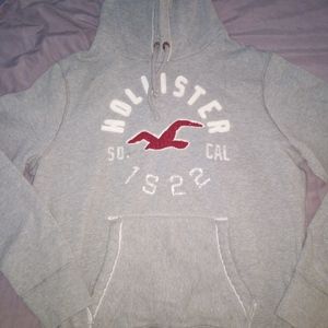 Mens Hollister Hoodie